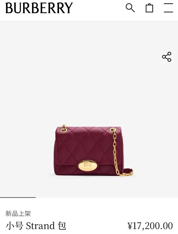 All Categories Balenciaga Women's Bags (Balenciaga) Burberry Original Order 2641