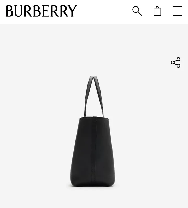 All Categories Burberry Women's Bags (Burberry) Burberry Special 2221