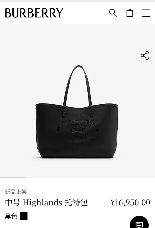 All Categories Burberry Women's Bags (Burberry) Burberry Special 2221