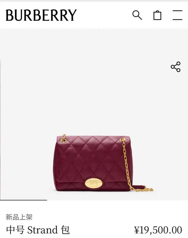 All Categories Burberry Women's Bags (Burberry) Burberry Special 2471