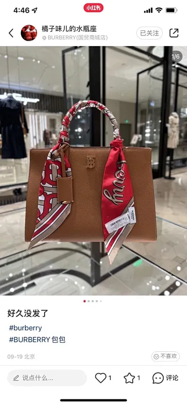 All Categories Burberry Women's Bags Burberry Original Order 0441