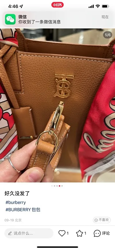 All Categories Burberry Women's Bags Burberry Original Order 0441