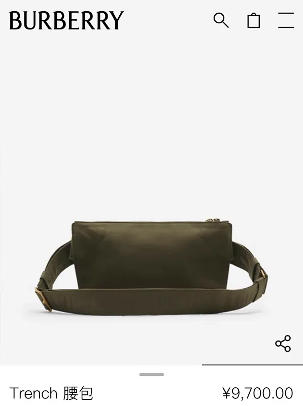 All Categories Burberry Women's Bags Burberry Original Order 335