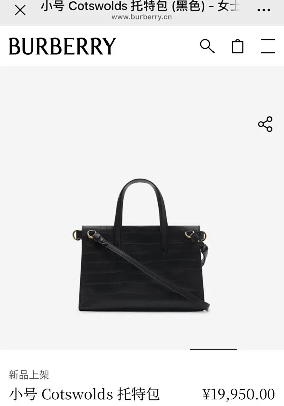 All Categories Burberry Women's Bags (Burberry) Burberry Special 3431
