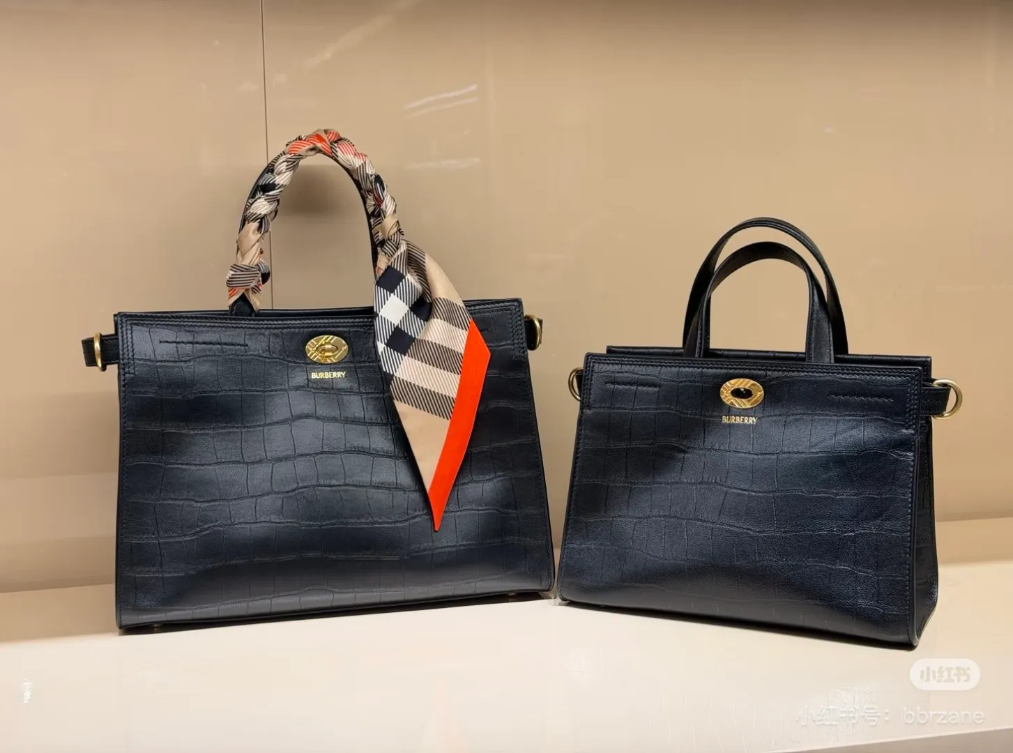 All Categories Burberry Women's Bags (Burberry) Burberry Special 3491