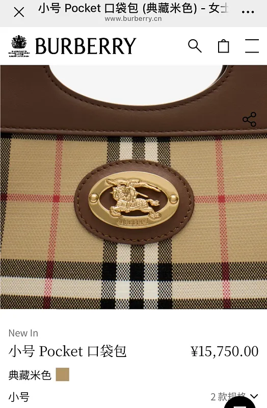 All Categories Burberry Women's Bags (Burberry) Burberry Special 4321