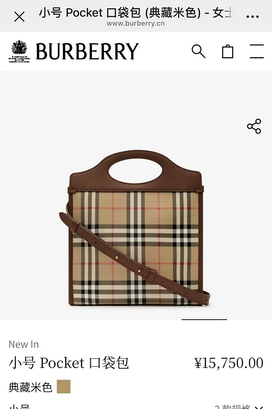 All Categories Burberry Women's Bags (Burberry) Burberry Special 4321
