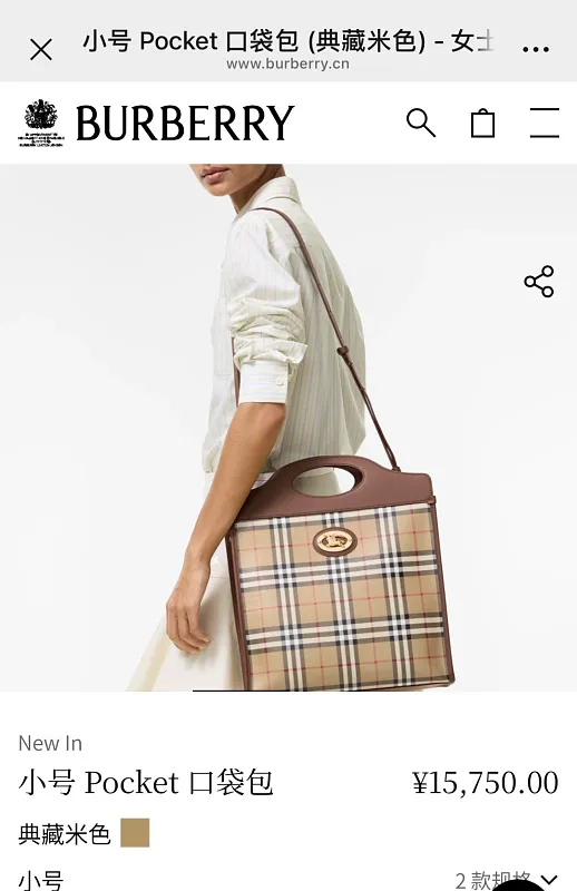 All Categories Burberry Women's Bags (Burberry) Burberry Special 4321