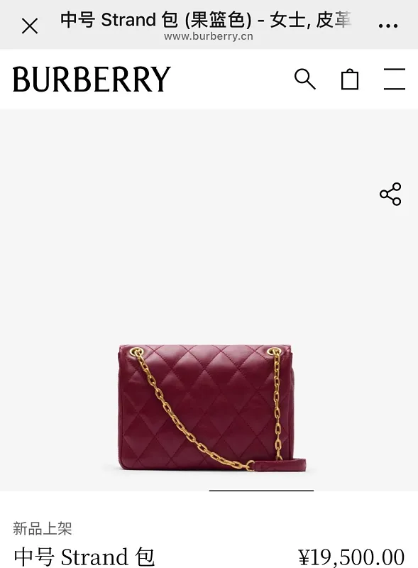 All Categories Burberry Women's Bags (Burberry) Burberry Special 2471