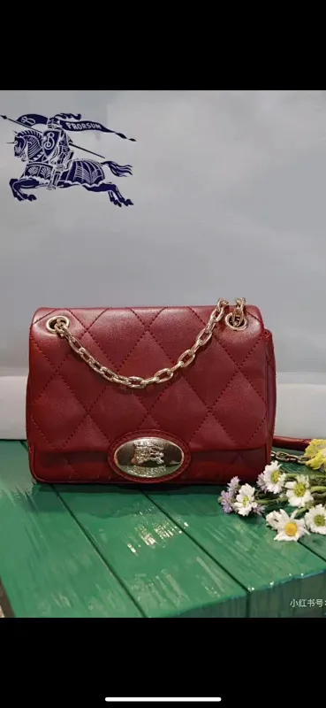 All Categories Burberry Women's Bags (Burberry) Burberry Special 2641