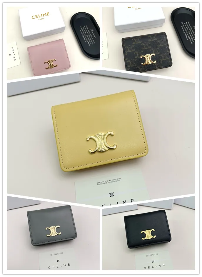 All categories Celine Wallet (Celine) Celine 3510