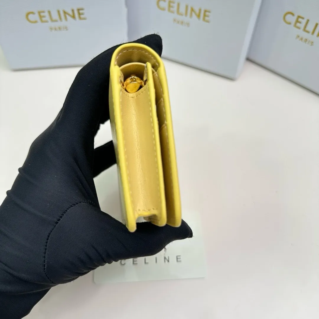 All categories Celine Wallet (Celine) Celine 3510