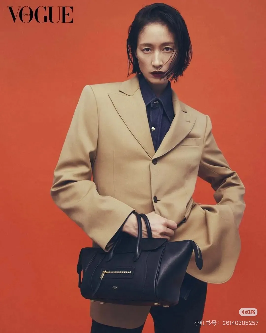 All categories Celine women's bags (Celine) Celine original order 124213