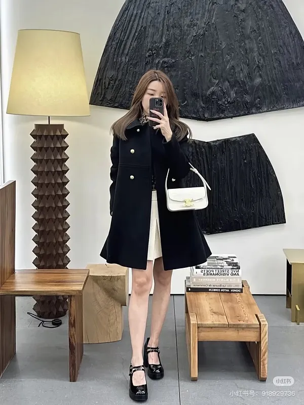 All categories Celine women's bags (Celine) Celine original order 118313