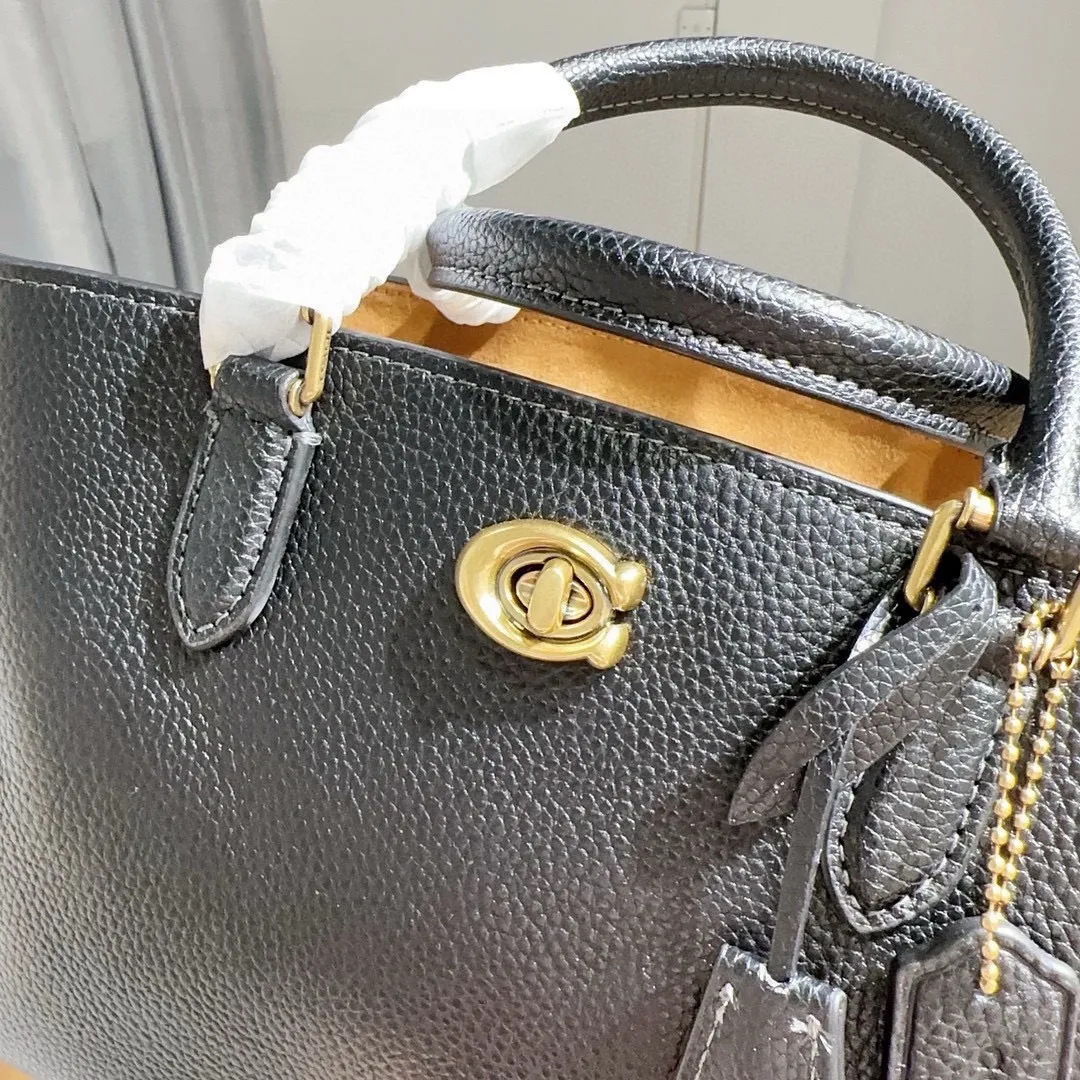All Categories Celine Women's Bags (Celine) Celine CE732