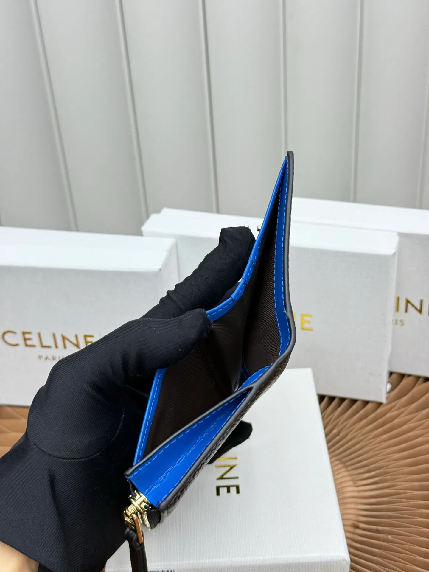 All Categories Celine Women's Bags (Celine) Celine L100254