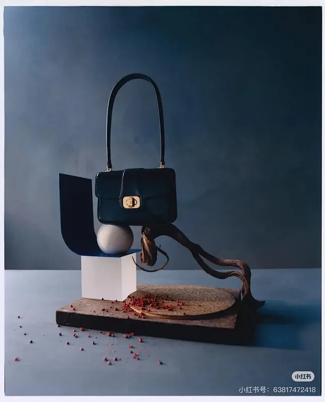 All Categories Celine Women's Bags (Celine) Celine 1913