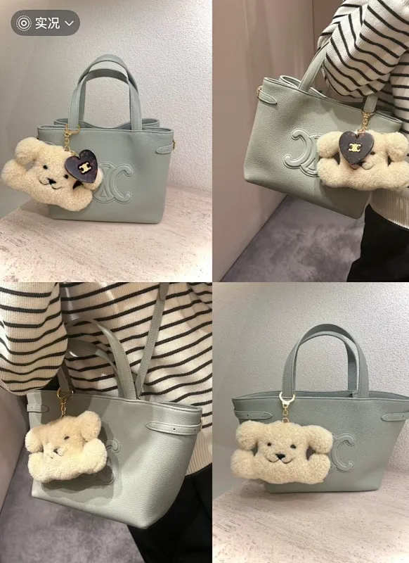 All Categories Celine Women's Bags (Celine) Celine Special 118613
