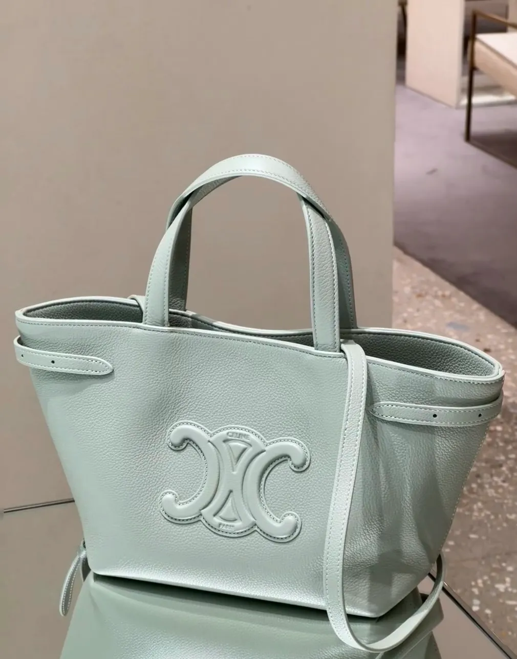 All Categories Celine Women's Bags (Celine) Celine Special 118613