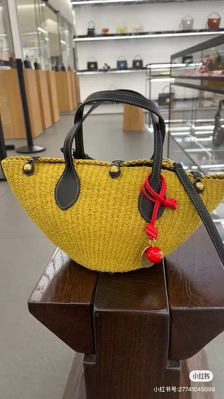 All Categories Celine Women's Bags (Celine) Celine L10403