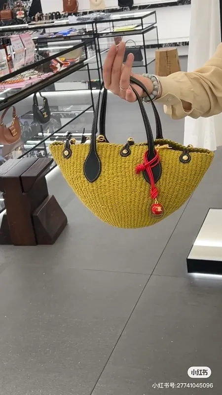 All Categories Celine Women's Bags (Celine) Celine L10403