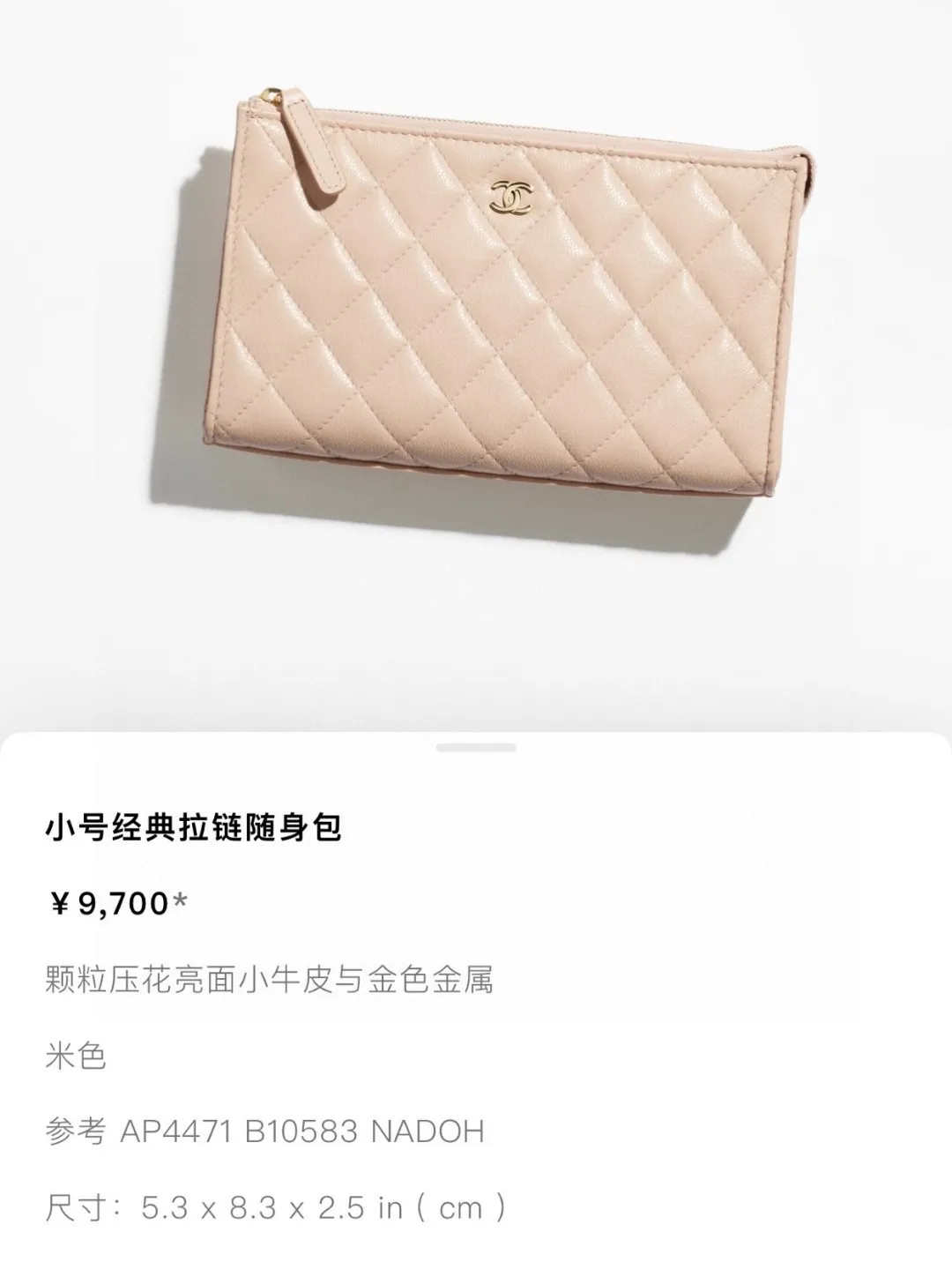 All Categories Chanel Wallet (Chanel) Chanel AS4419