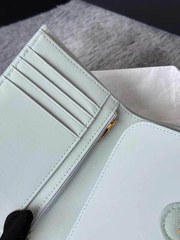 All Categories Chanel Wallet (Chanel) Chanel Original Order AP3266