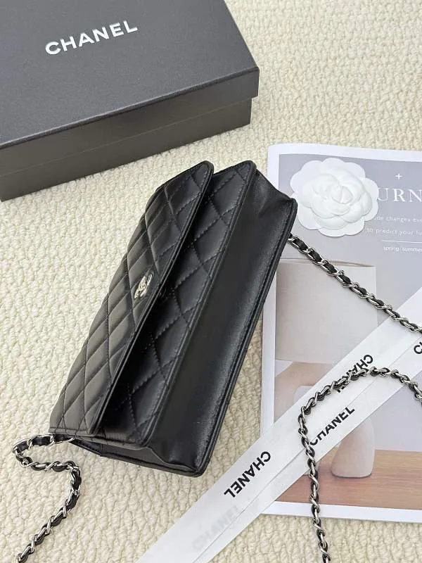 All categories Chanel Wallet (Chanel) Chanel 2050