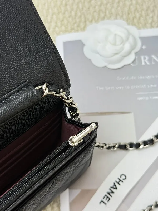 All categories Chanel Wallet (Chanel) Chanel 2050