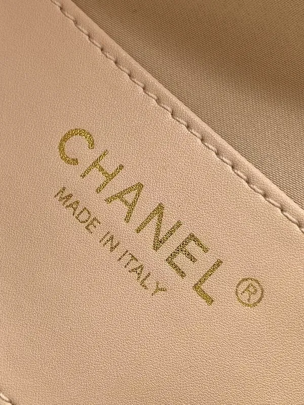 All Categories Chanel Women's Bags 2 (Chanel) Chanel Original Order AS5293