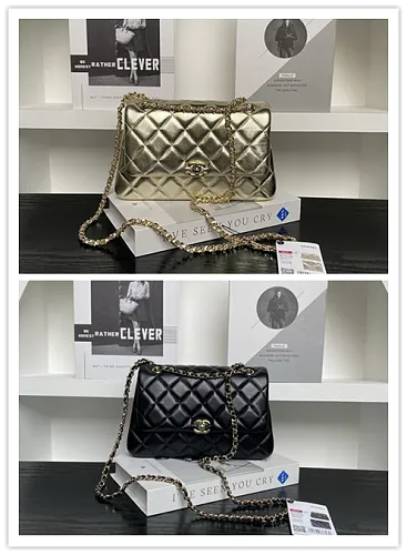All Categories Chanel Women's Bags 2 (Chanel) Chanel Original Order AS5485