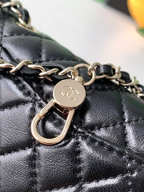 All Categories Chanel Women's Bags (Chanel) Chanel SP4760