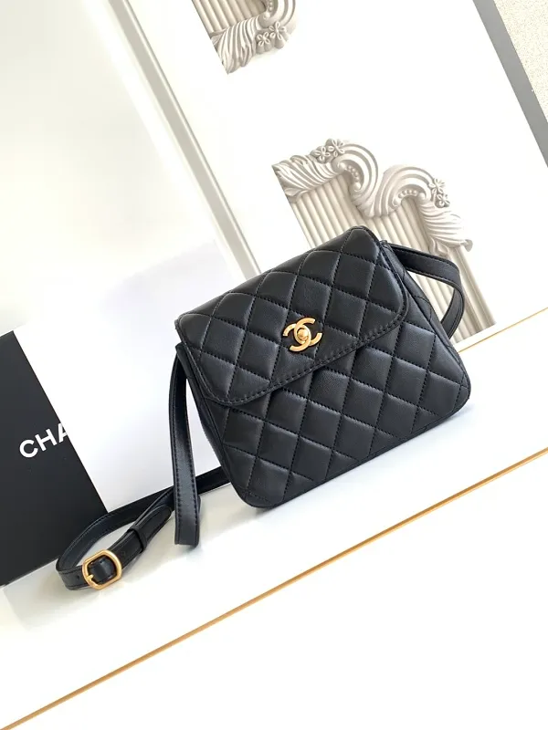 All Categories Chanel Women's Bag 2 (Chanel) Chanel Original Order L4679