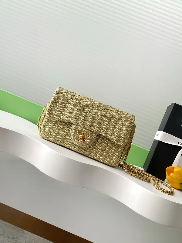 All Categories Chanel Women's Bags (Chanel) Chanel AS5279