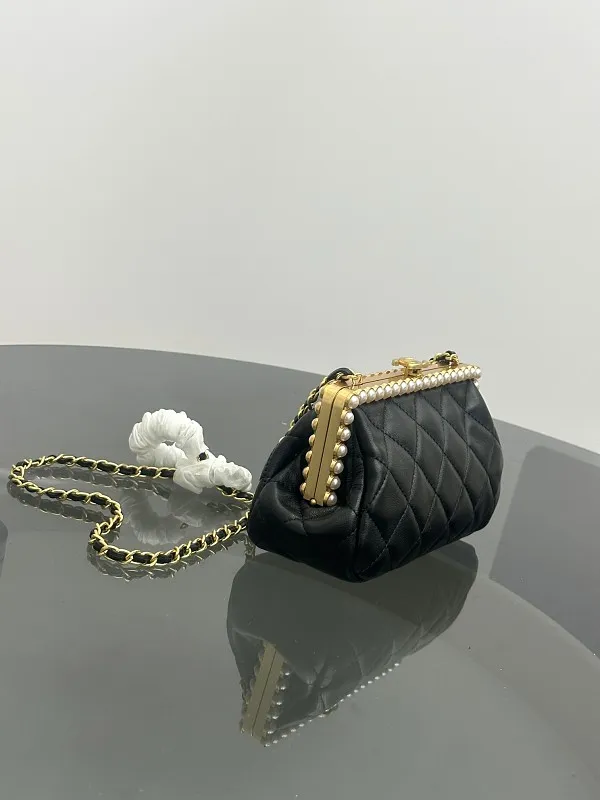 All Categories Chanel Women's Bags (Chanel) Chanel V118