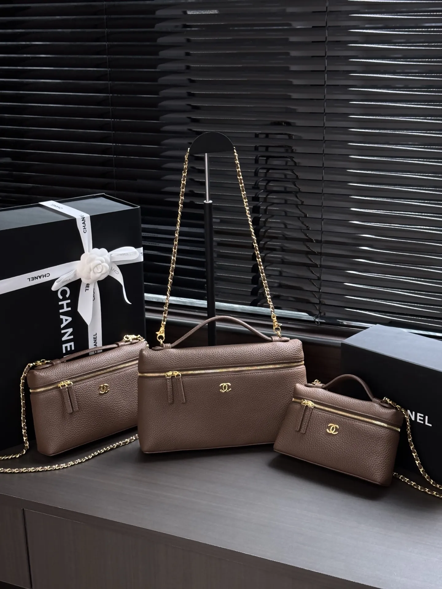 All Categories Chanel Women's Bags (Chanel) Chanel AS6473