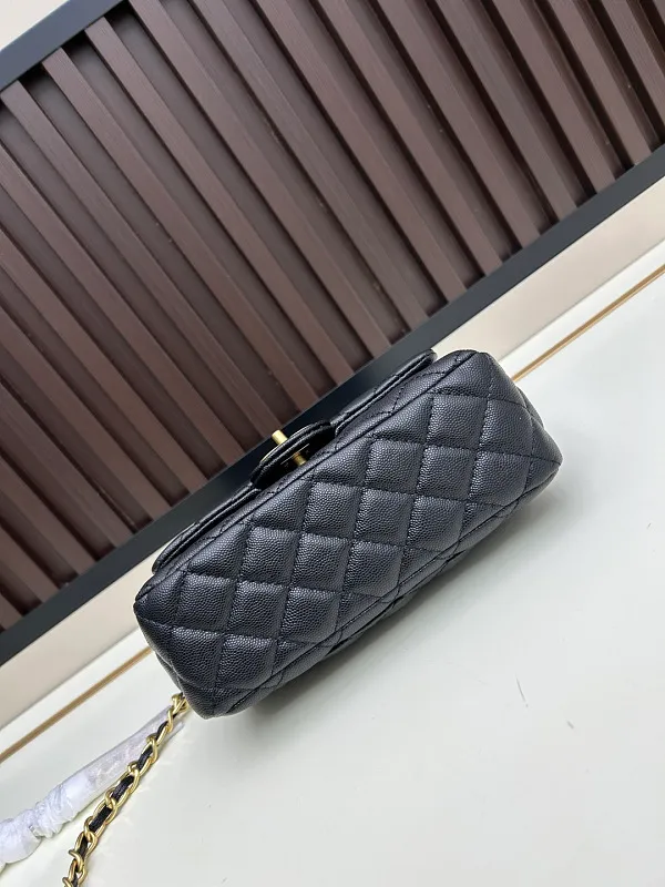 All Categories Chanel Women's Bags (Chanel) Chanel C020