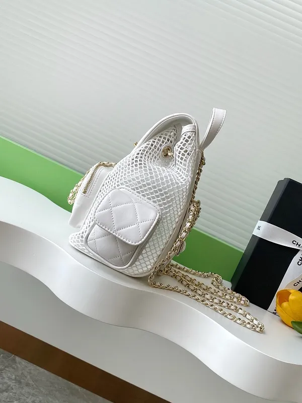 All Categories Chanel Women's Bags 2 (Chanel) Chanel Original Order AS5484
