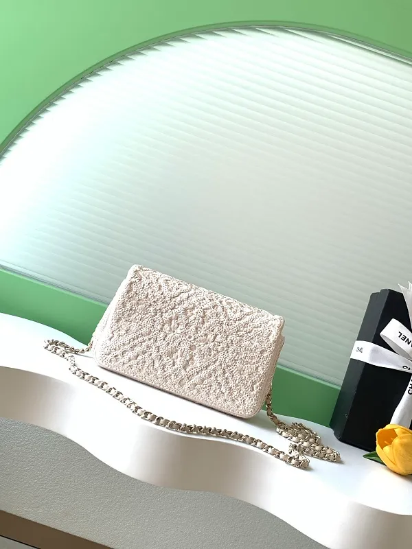 All Categories Chanel Women's Bags 2 (Chanel) Chanel Original Order AS4561