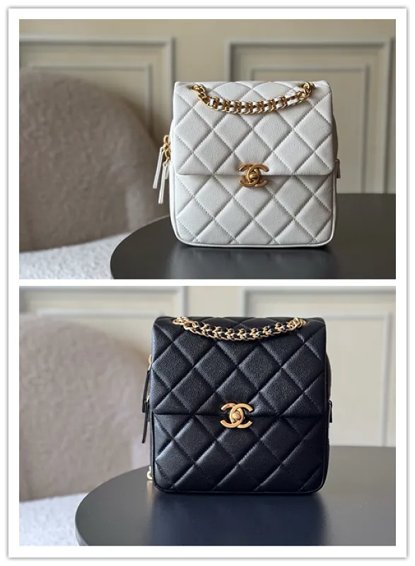All Categories Chanel Women's Bags (Chanel) Chanel AS3108