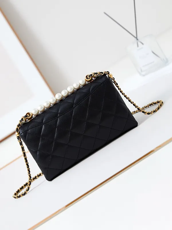 All Categories Chanel Women's Bag 2 (Chanel) Chanel Original Order AS4997