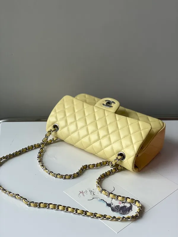 All Categories Chanel Women's Bags (Chanel) Chanel 1112 Ball Pattern