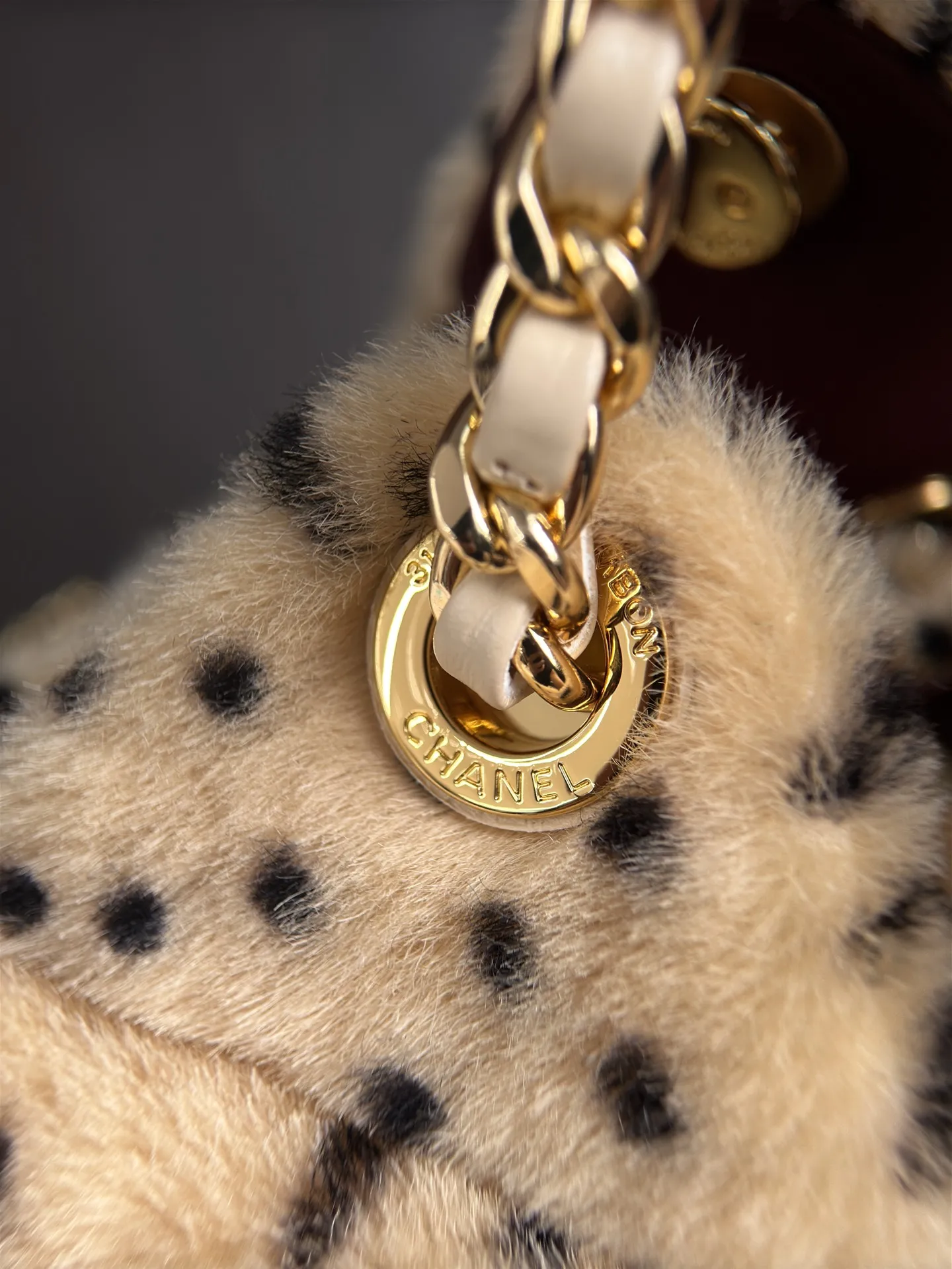 All Categories Chanel Women's Bags (Chanel) Chanel AS5631