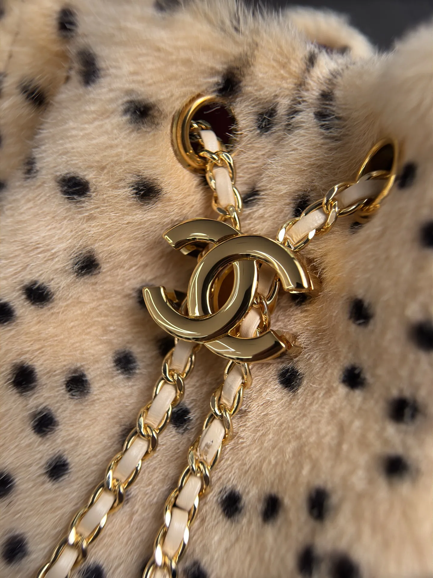 All Categories Chanel Women's Bags (Chanel) Chanel AS5631