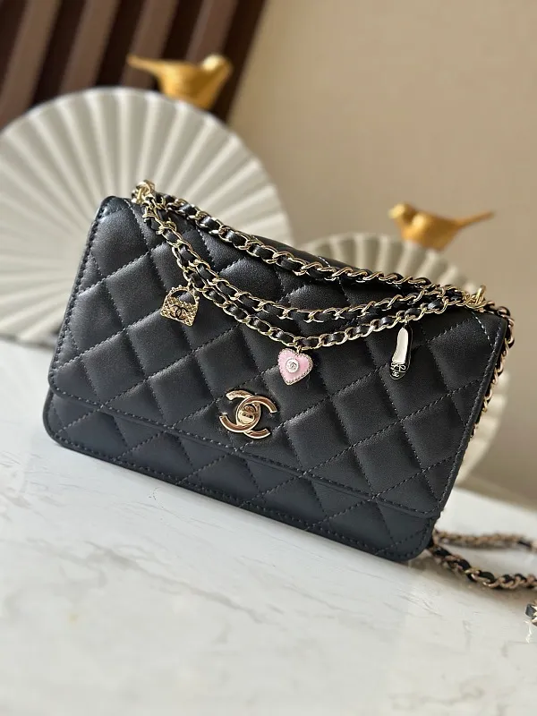All Categories Chanel Women's Bags 2 (Chanel) Chanel Original Order 66051