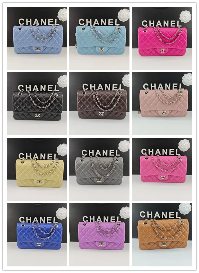 All Categories Chanel Women's Bag 2 (Chanel) Chanel Chip Version A01112