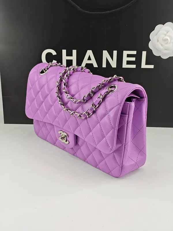 All Categories Chanel Women's Bag 2 (Chanel) Chanel Chip Version A01112