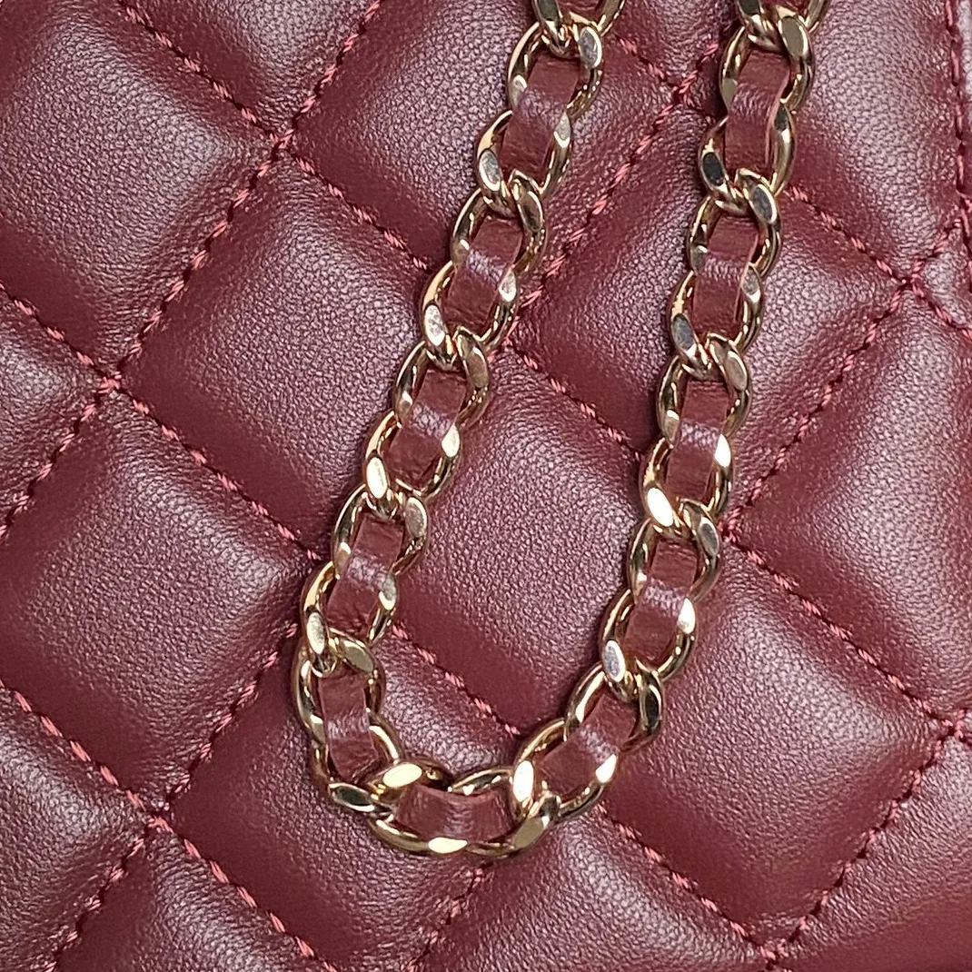 All Categories Chanel Women's Bags 2 (Chanel) Chanel Original Order AP4932