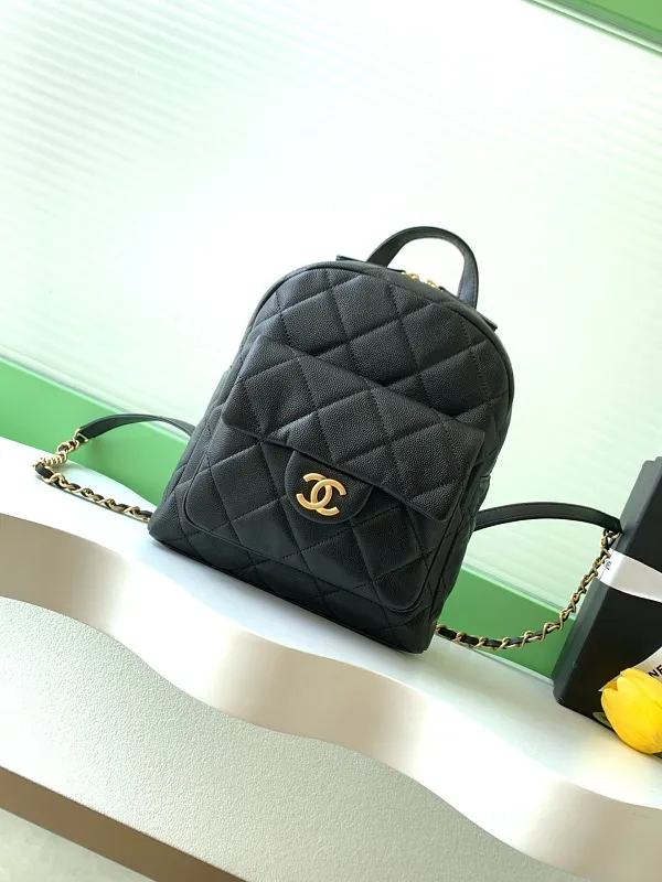 All Categories Chanel Women's Bags 2 (Chanel) Chanel Original Order AS5793