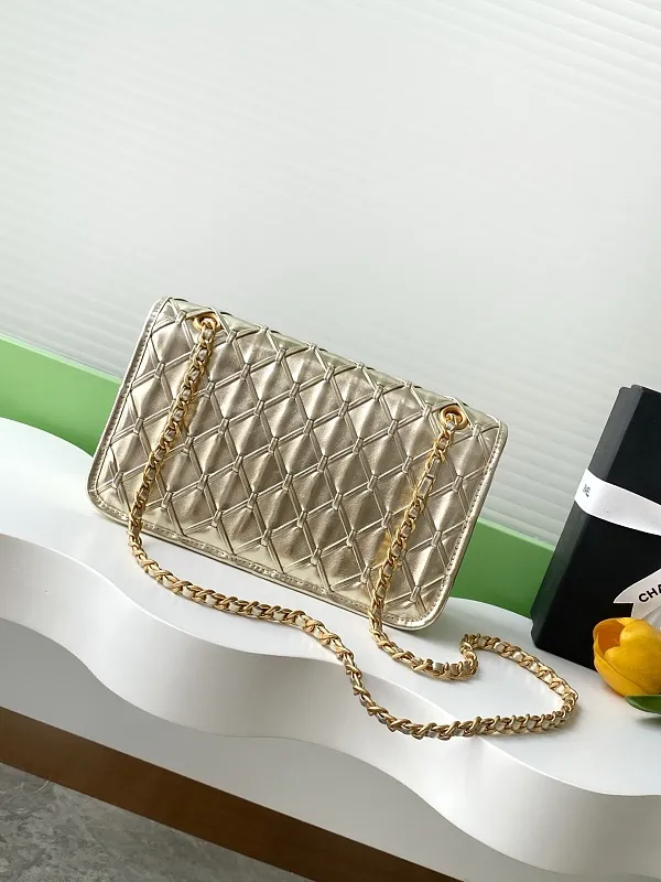 All Categories Chanel Women's Bags 2 (Chanel) Chanel Original Order AS4795